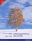 Organizational Behavior,  14/e